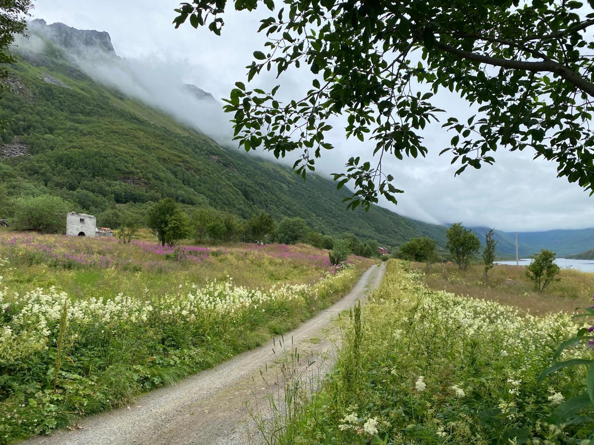Wilderness House Villa Urda Екстериор снимка